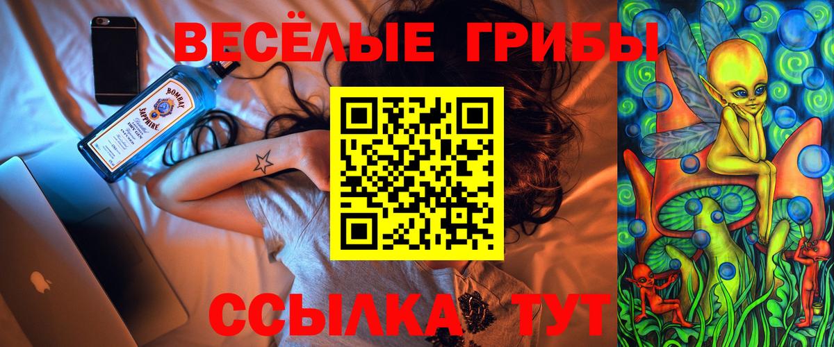 Псилоцибиновые грибы Psilocybe Фрязино