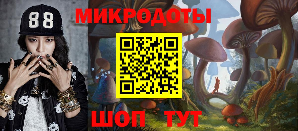 Псилоцибиновые грибы Psilocybe  Вход с VPN  Фрязино 
